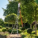 Fully_Adjustable_PRO_16ft_-_Tree_Trimming.webp