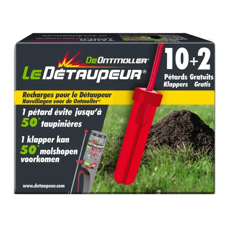 RECHARGE DETAUPEUR 10 +2